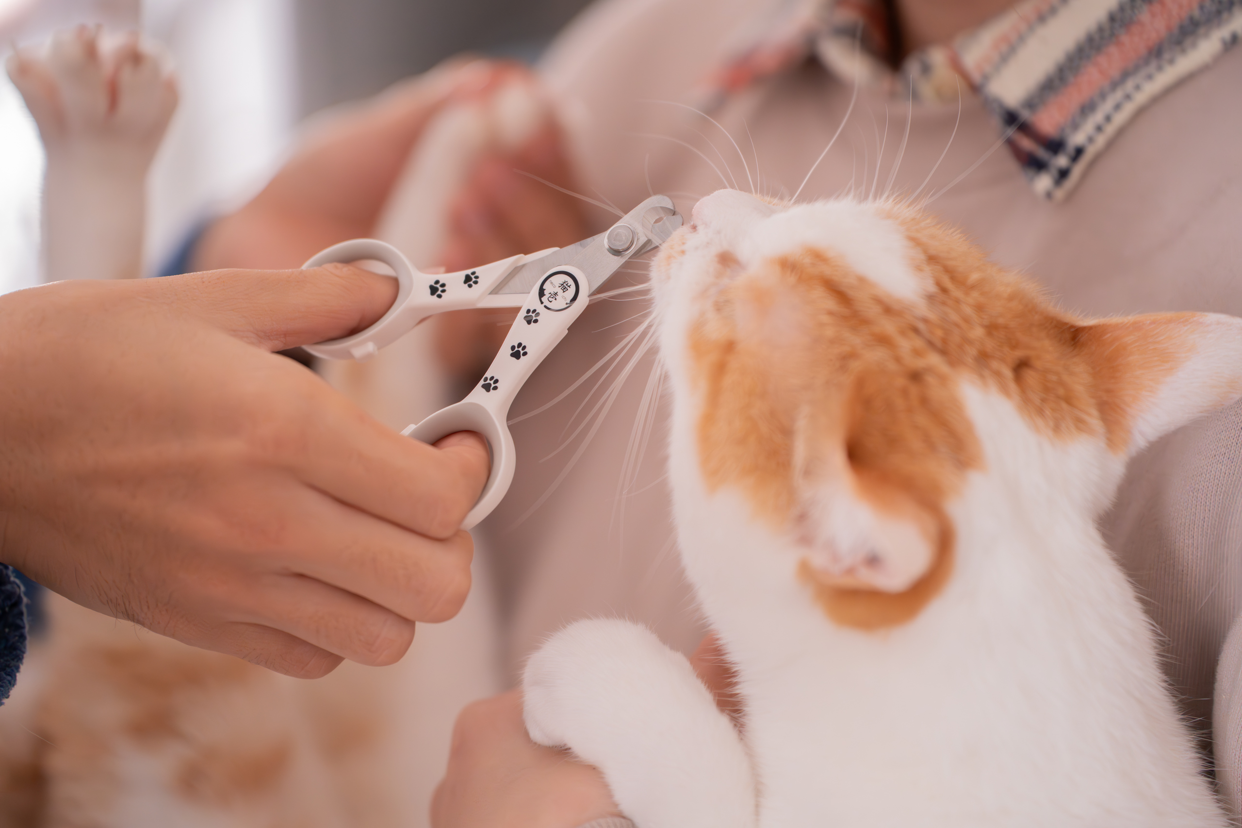 猫壱 ストレスなくスパッと切れる猫用爪切り