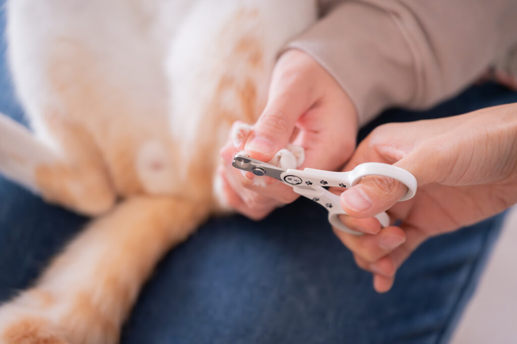 猫壱 ストレスなくスパッと切れる猫用爪切り