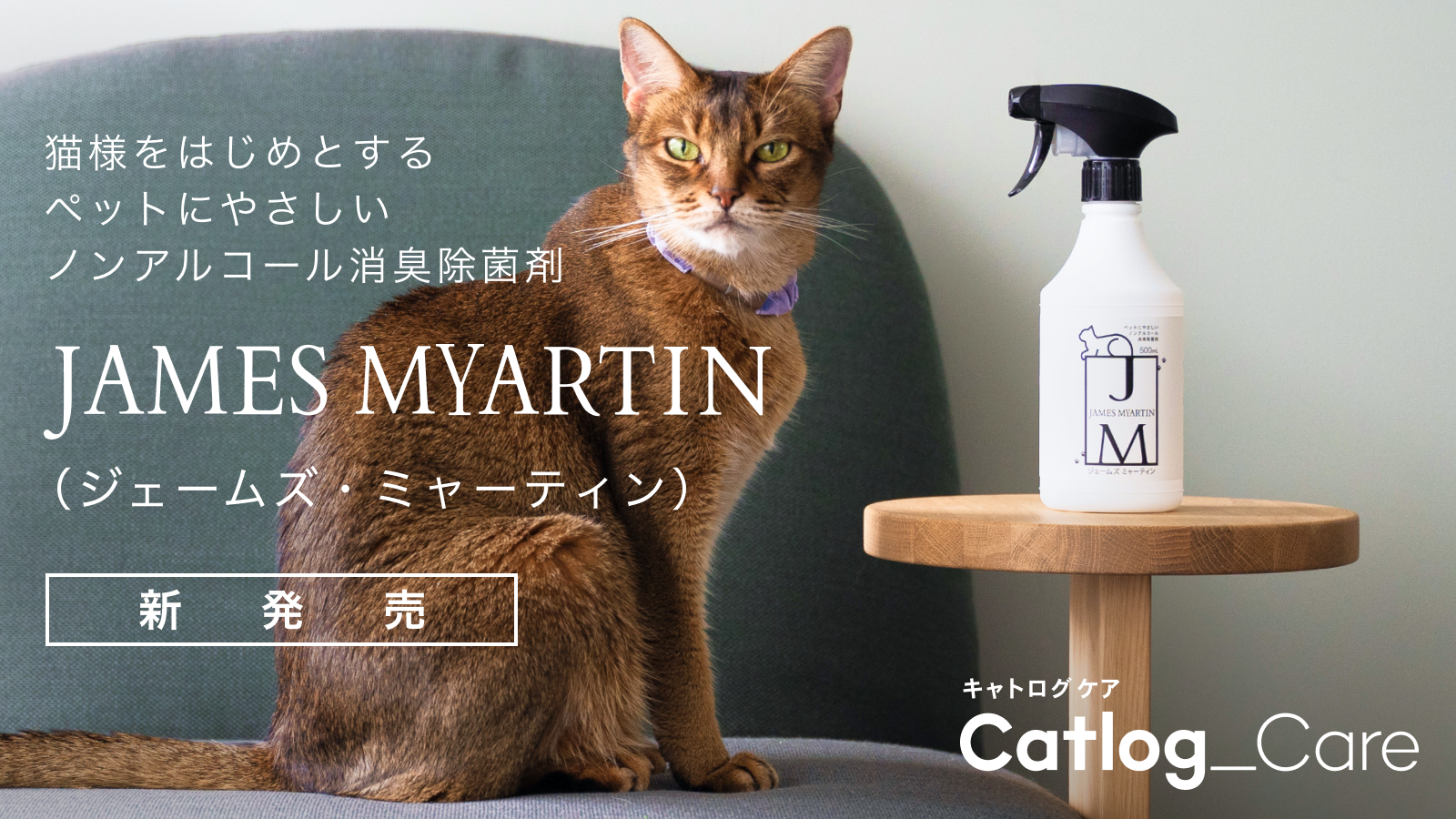 JM cat_00